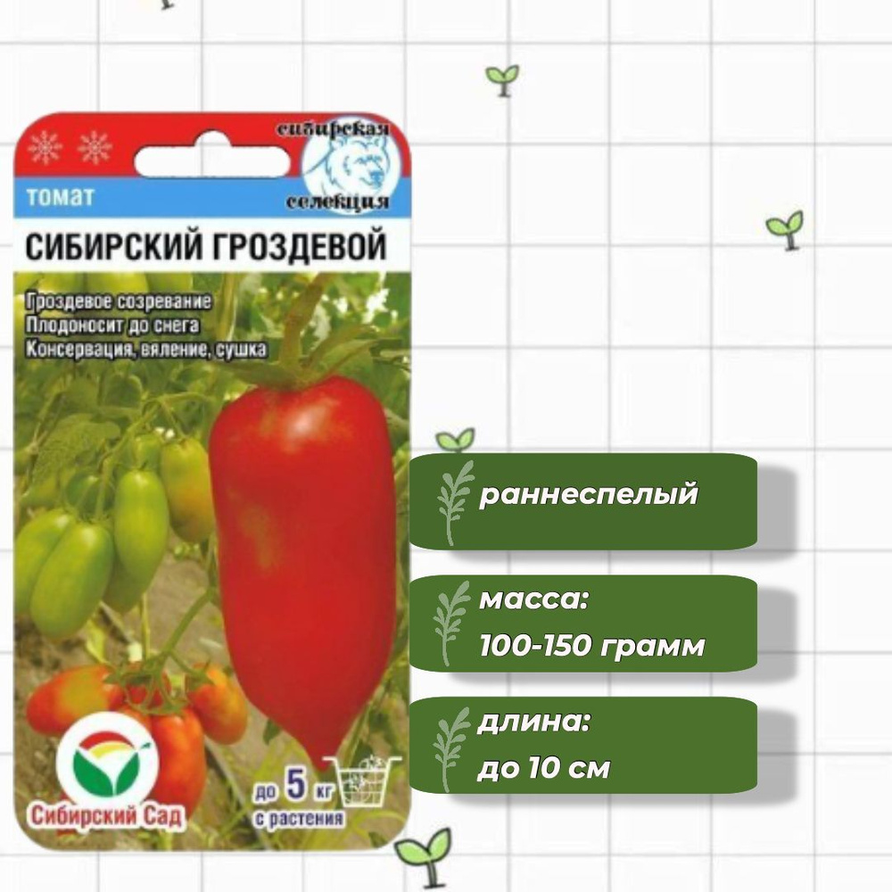 Томат Сибирский гроздевой Сибирский Сад 20 шт. #1