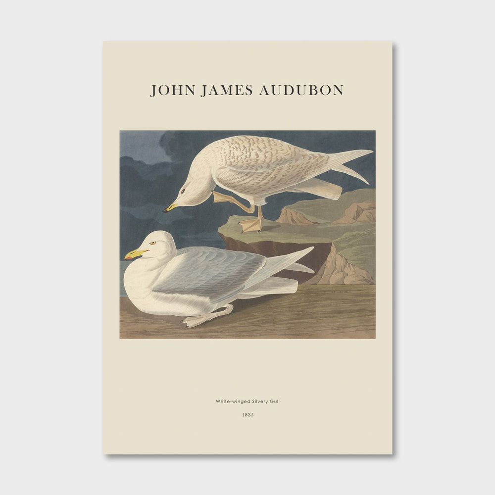 Постер для интерьера Postermarkt, J.J.Audubon №5, 50х70 см #1