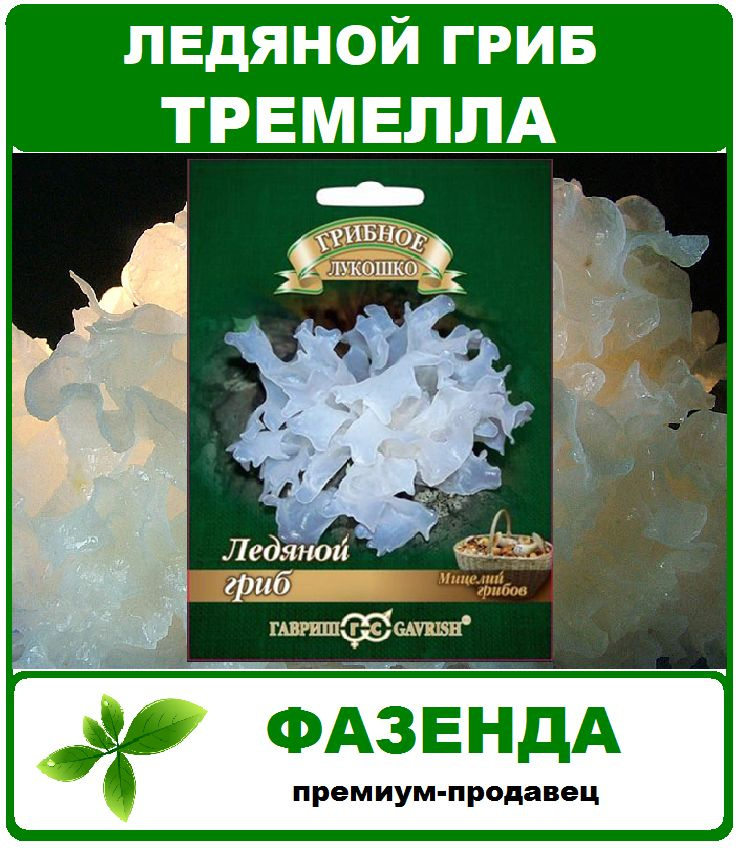 грибы, Ледяной гриб мицелий на древесных палочках 12шт. Гавриш  #1