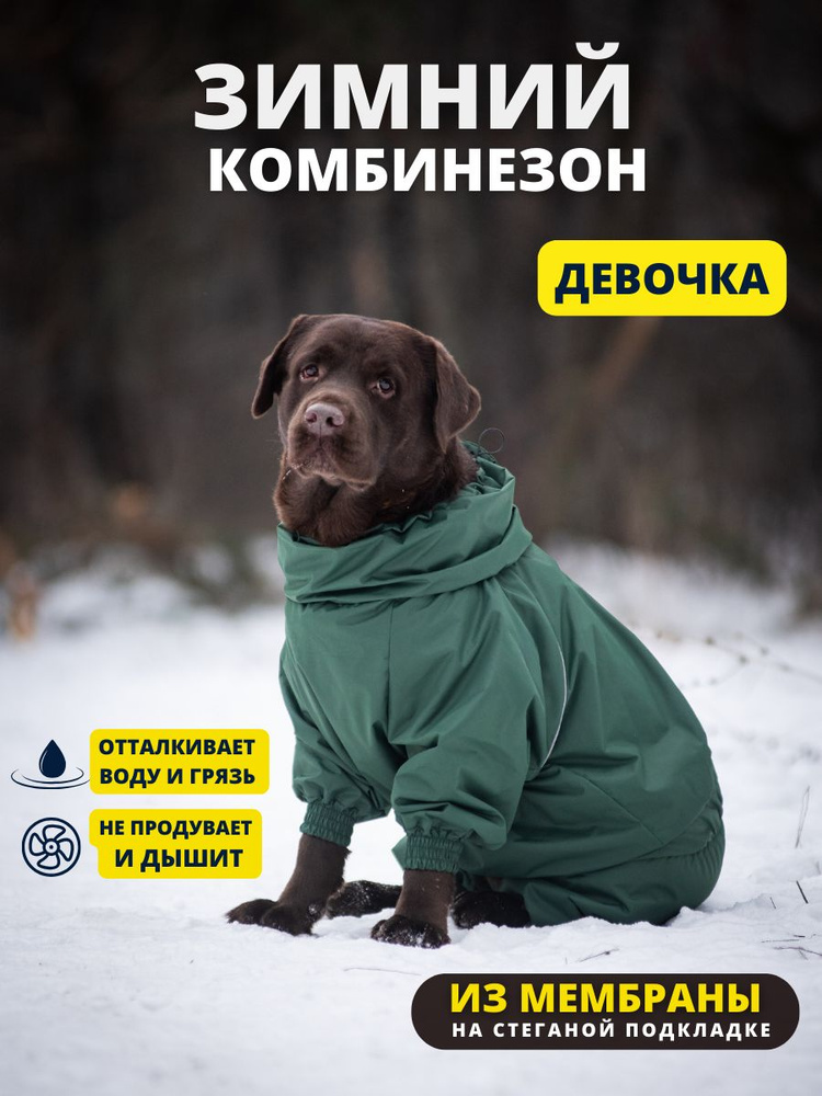 Комбинезон зимний для собак крупных пород SNOW, 65ж (сука), авокадо, 6XL  #1