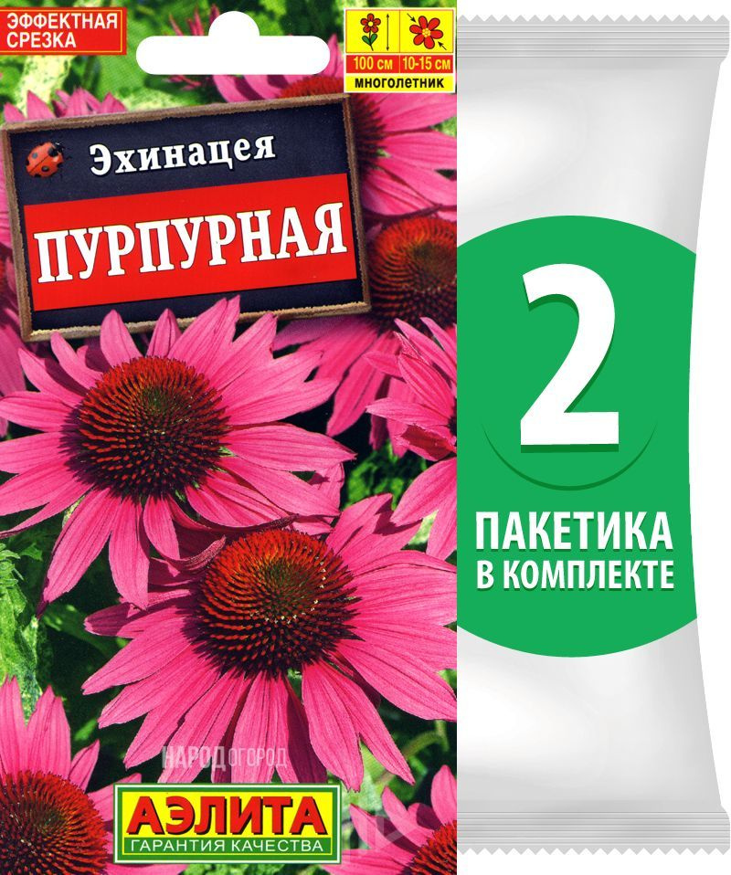 Семена Эхинацея Пурпурная, многолетние цветы для сада, 2 пакетика по 0,2г/60шт  #1