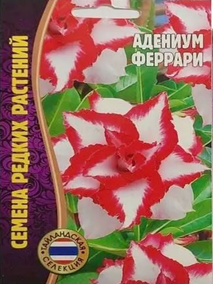 Григорьев Комнатные растения, цвет Феррари, 30 см, 3 шт #1
