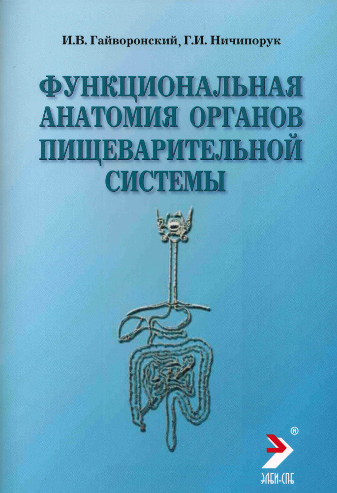 Функциональная анатомия органов пищеварительной системы (строение, кровоснабжение, иннервация, лимфоотток). #1