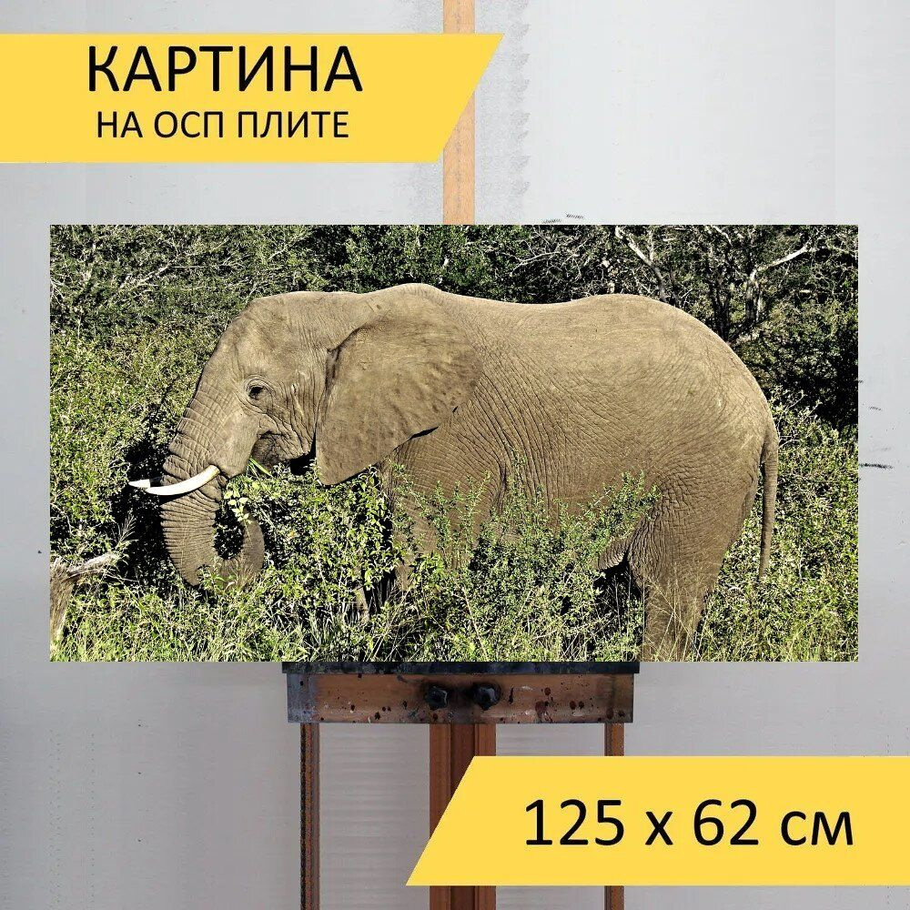 LotsPrints Картина "Слон, саванна, африке 82", 125  х 62 см #1