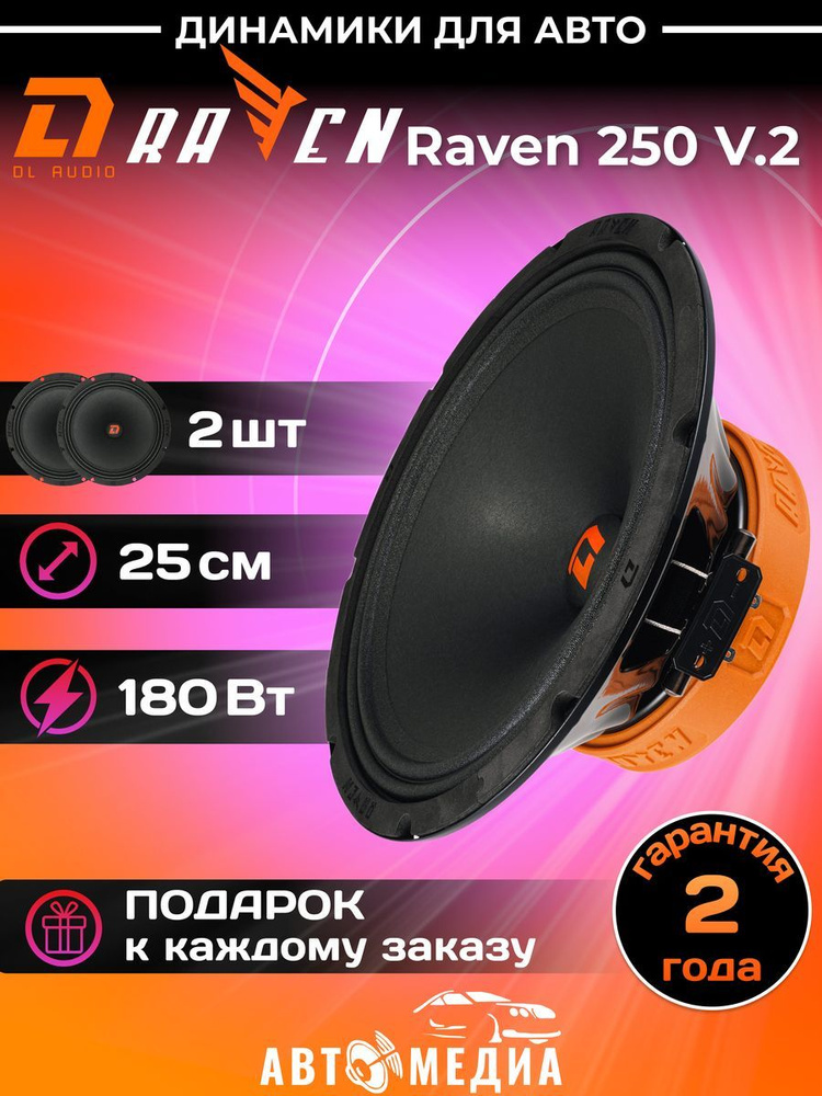 Колонки для автомобиля DL Audio Raven 250 V.2 эстрадная акустика 25 см. (10 дюймов) / комплект 2 шт. #1