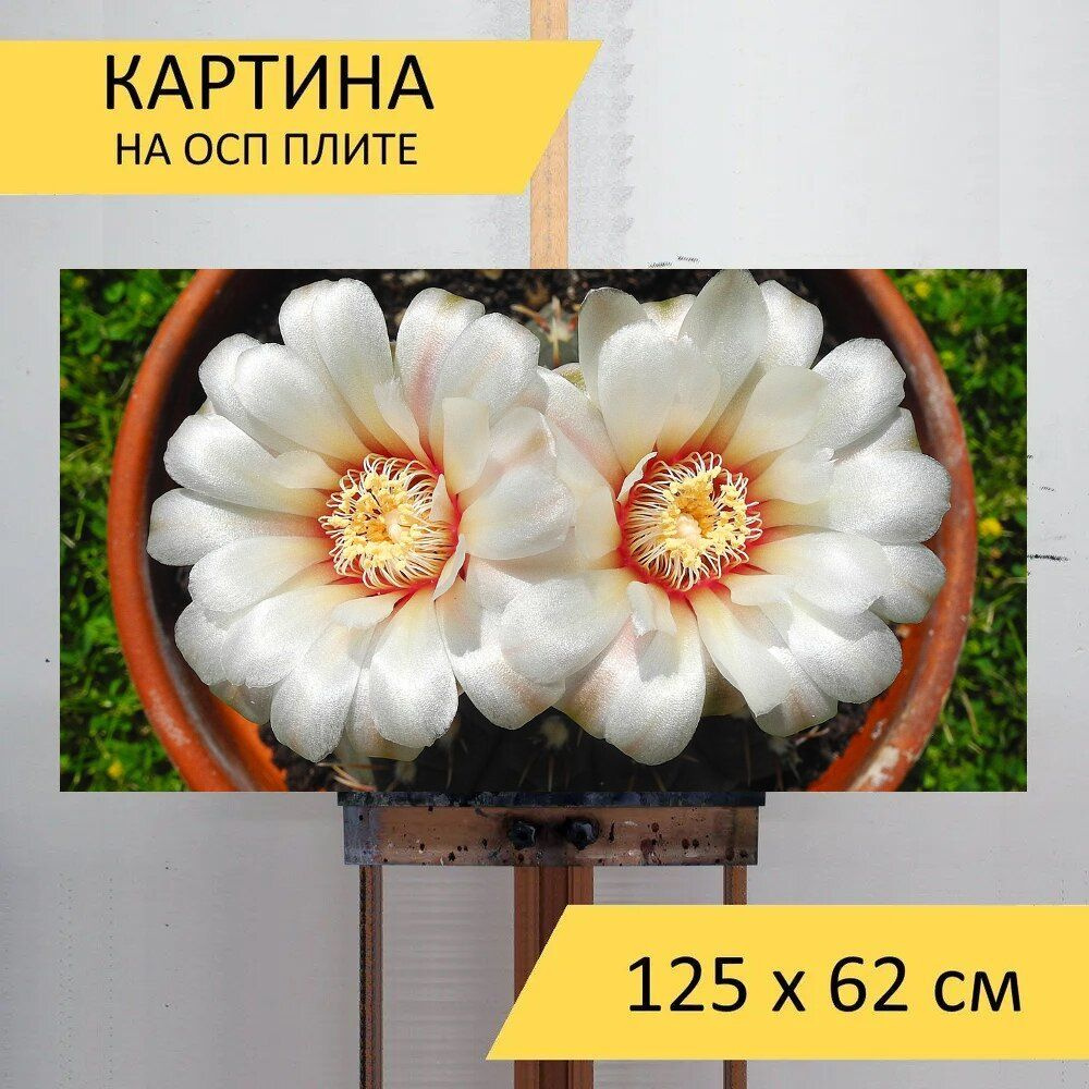 LotsPrints Картина "Кактус, цветок, колючее растение 13", 125 х 62 см  #1