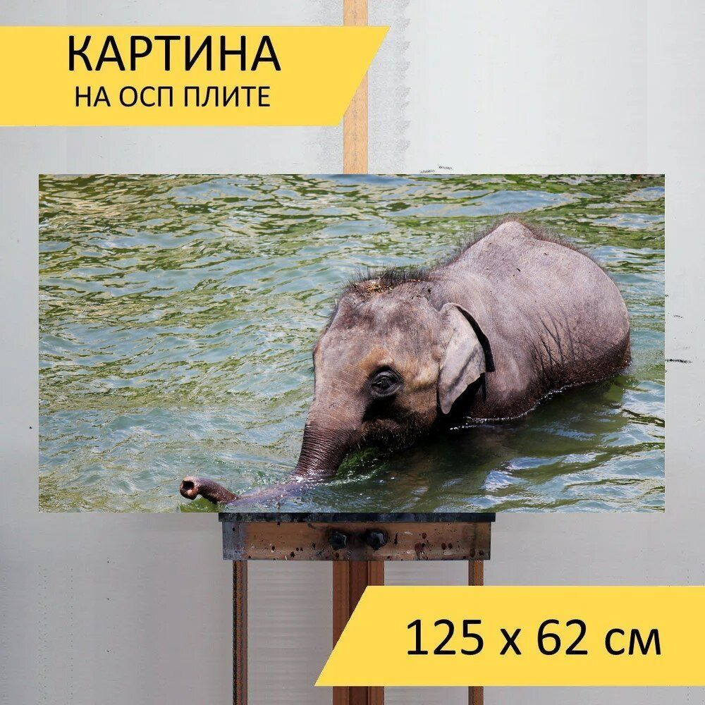 LotsPrints Картина "Слоны, детка, животные 63", 125  х 62 см #1
