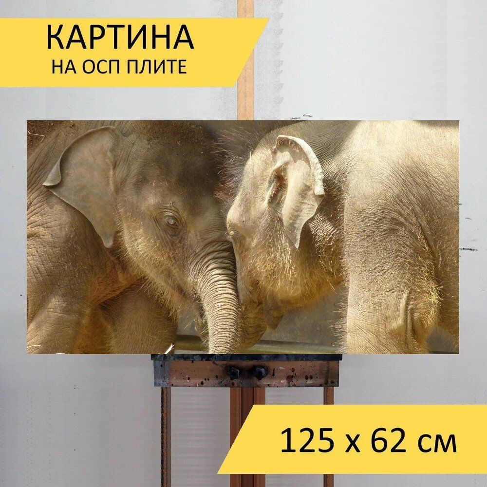 LotsPrints Картина "Слоненок, животные, шри ланка 59", 125 х 62 см  #1