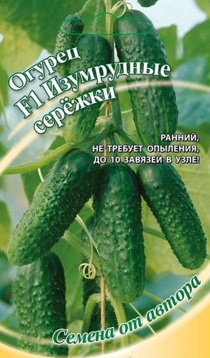 Огурцы Изумрудная Сережка Отзывы Фото