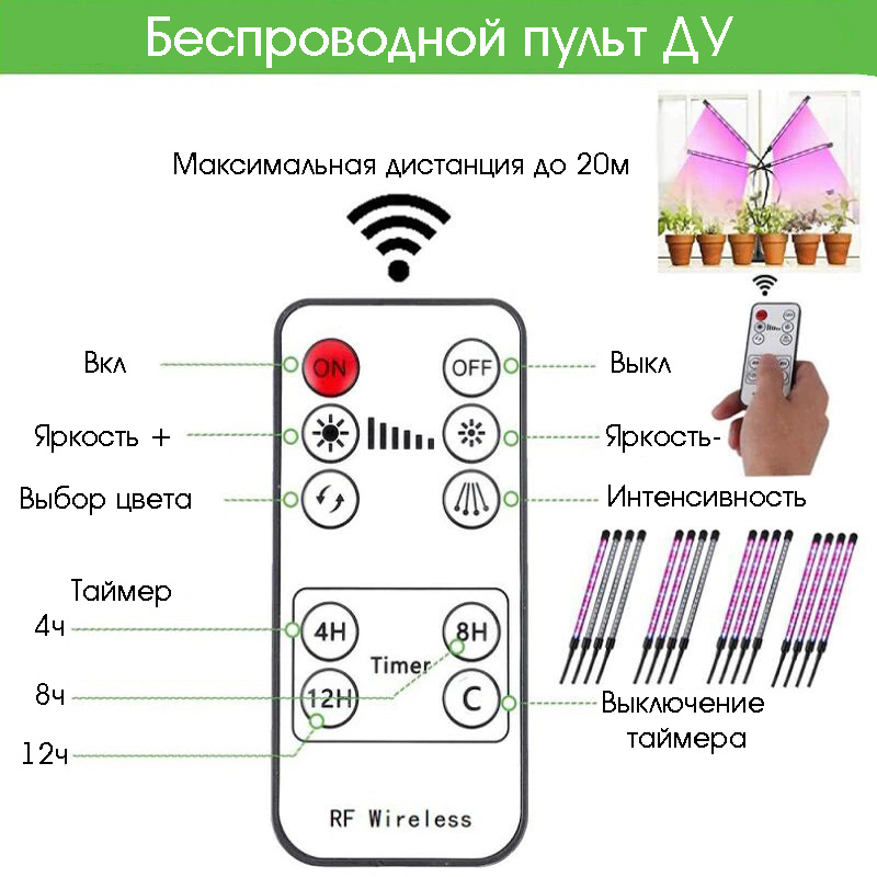 Текстовое описание изображения