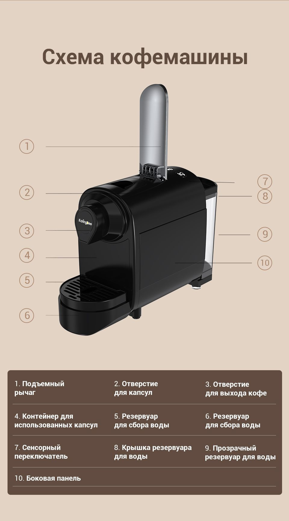 Текстовое описание изображения