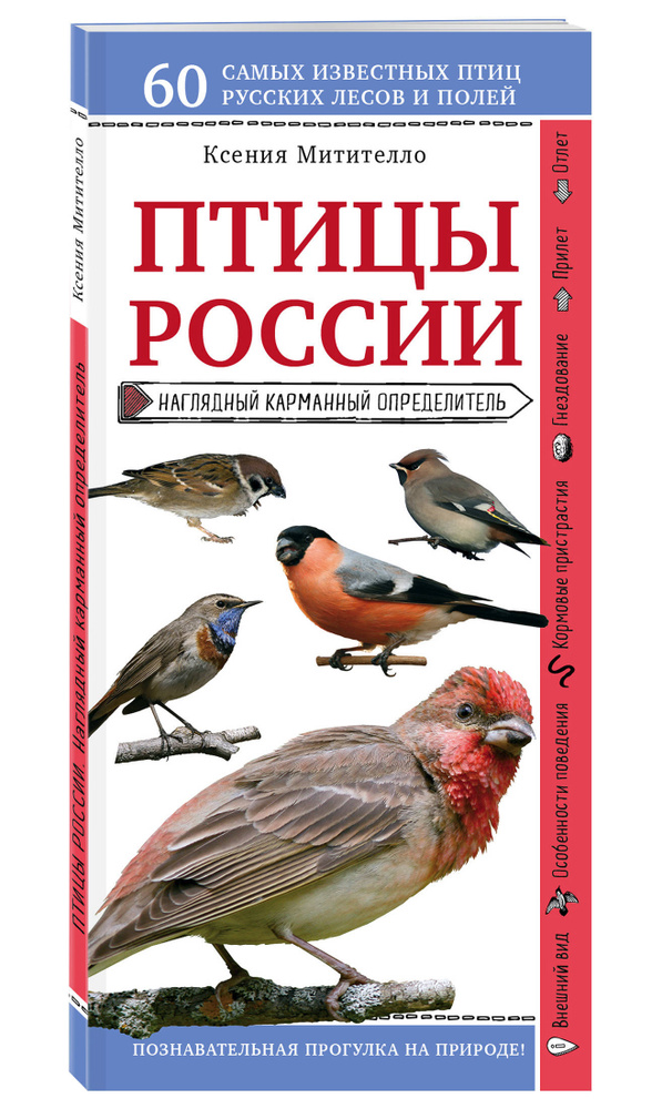 Птицы России. Наглядный карманный определитель (для ПР) | Митителло Ксения Борисовна  #1
