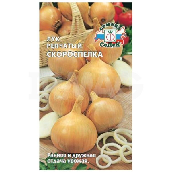 Семена Лук репчатый Скороспелка 0,3 г (СеДеК) #1