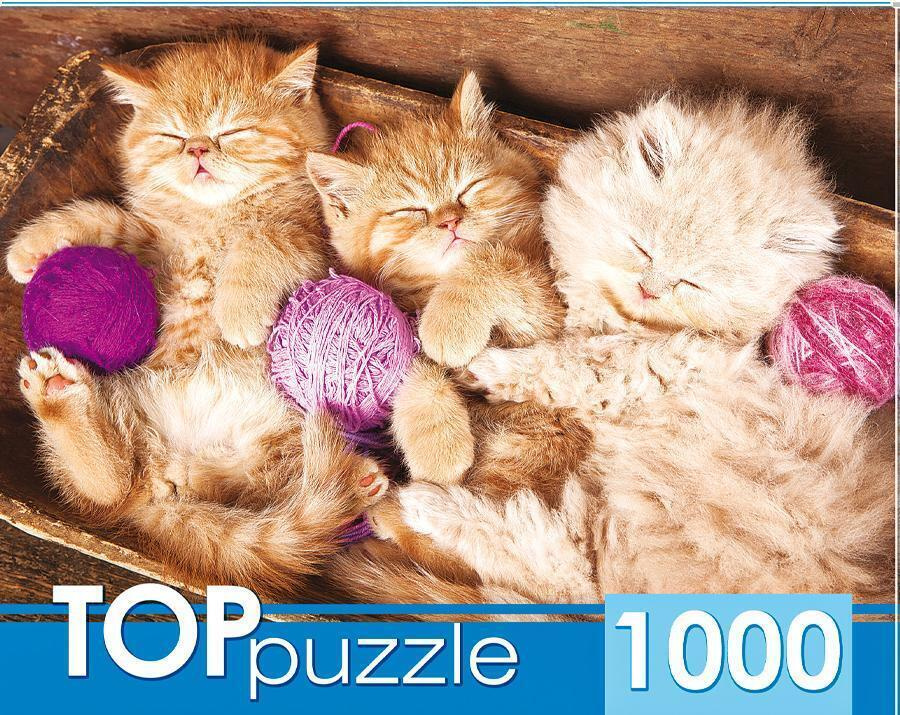 Пазл TOP Puzzle 1000 деталей, элементов: Спящие котята с клубками  #1