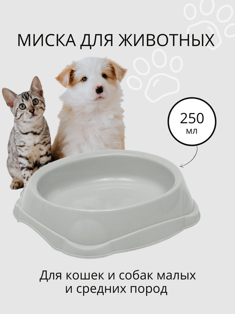 Миска для кошек, для собак DD Style / Пластиковая миска для воды и корма, светло-серый, 250 мл  #1