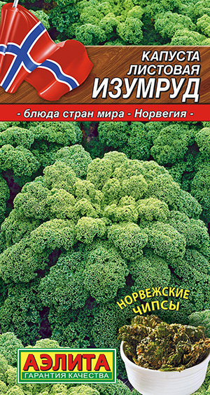 Капуста листовая Изумруд, эффектная, холодостойкая до -8  #1