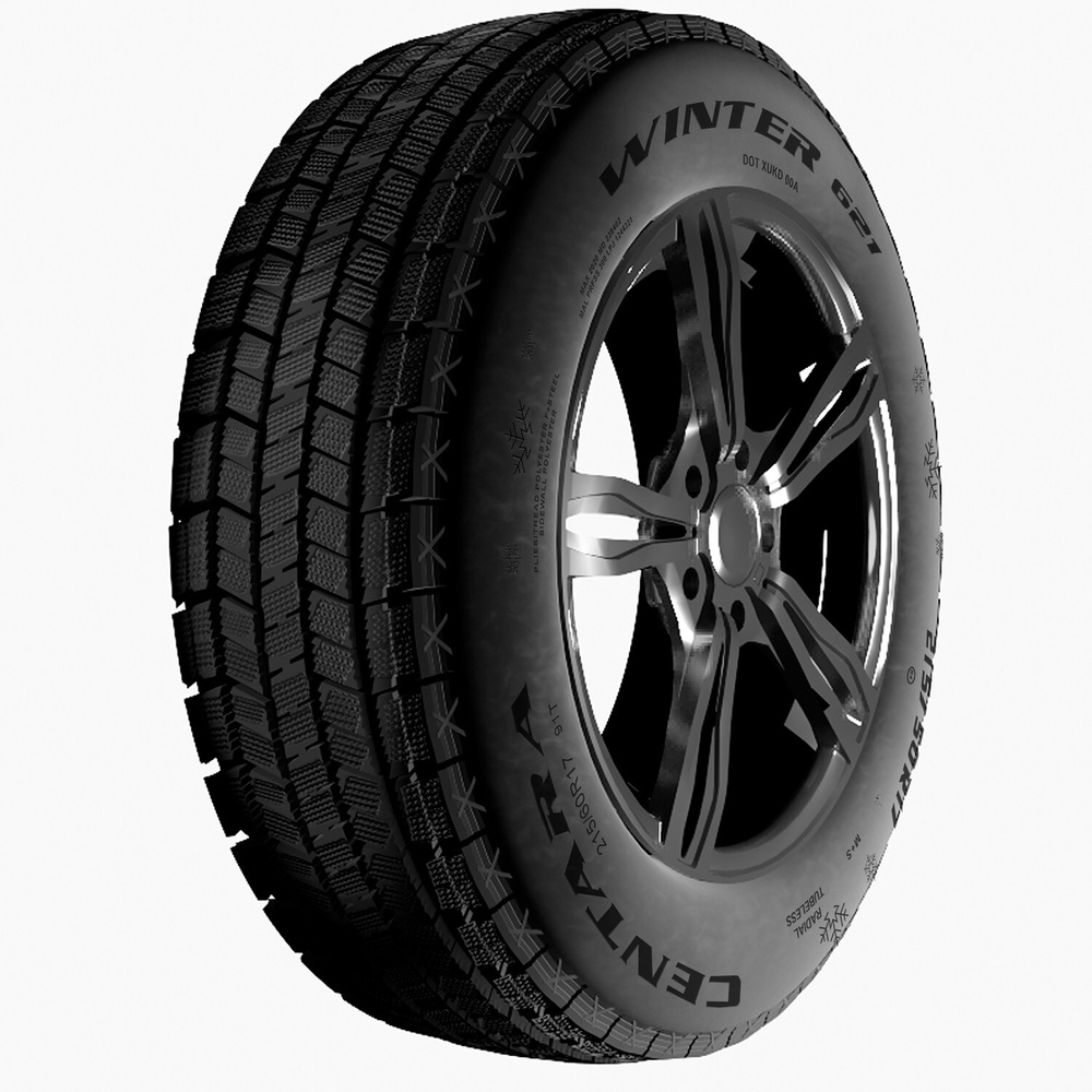 Centara WINTER RX621 Шины  зимние 205/60  R16 92T Нешипованные #1