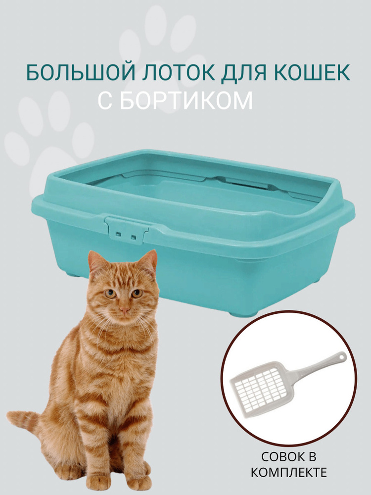 Туалет для кошек большой с бортом DD Style, кошачий туалет, лоток для кошек с совком, ментоловый  #1