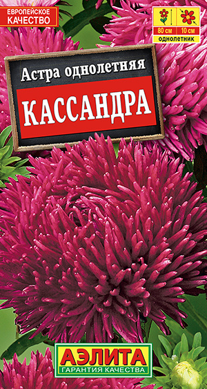 Астра "Кассандра" Семена цветов Аэлита, 0,2 гр #1