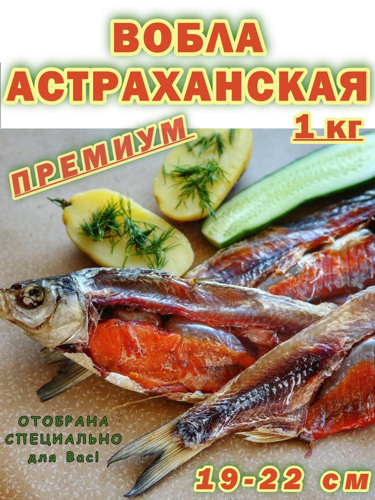 Вобла вяленая Астраханская ПРЕМИУМ 19- 22 см 1 кг #1