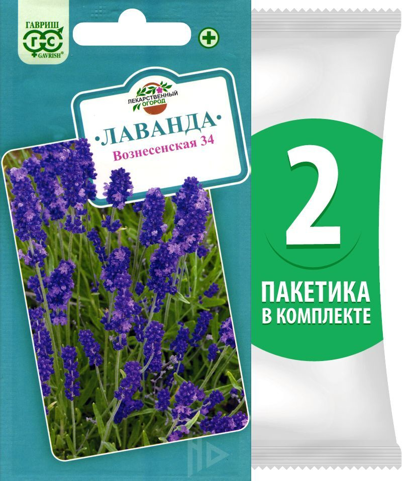 Семена Лаванда узколистная Вознесенская, 2 пакетика по 0,05г/35шт  #1