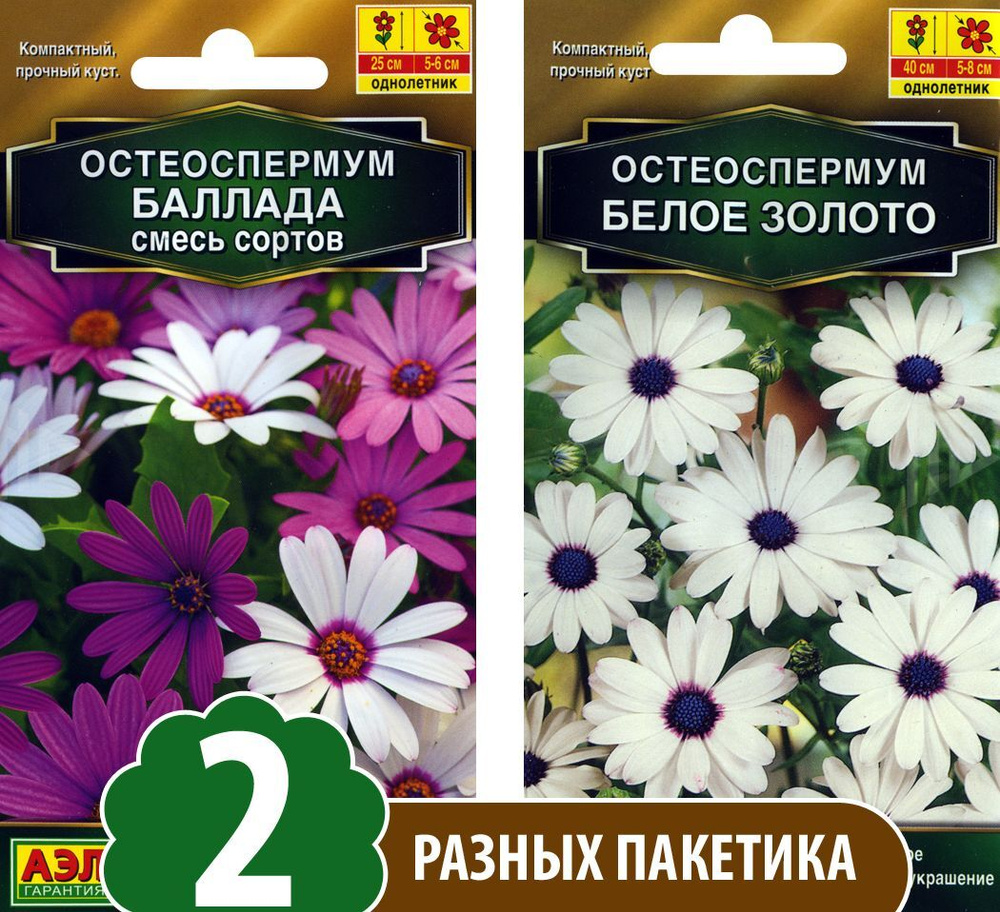 Семена Остеоспермум Баллада смесь сортов + Остеоспермум Белое Золото, 2 разных пакетика  #1