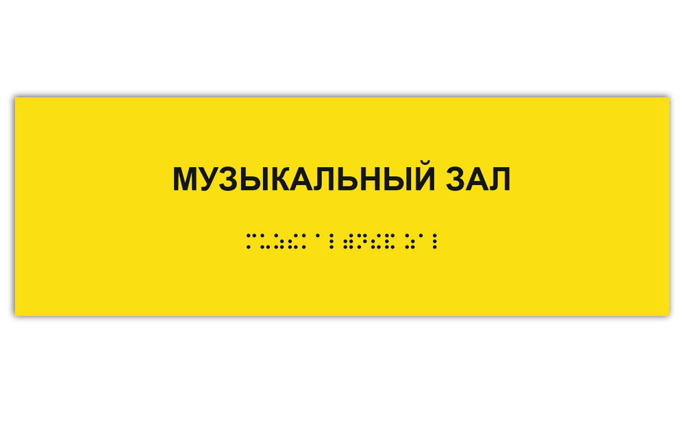 Таблички Брайля / Тактильная табличка ГОСТ со шрифтом Брайля МУЗЫКАЛЬНЫЙ ЗАЛ 300х100мм  #1