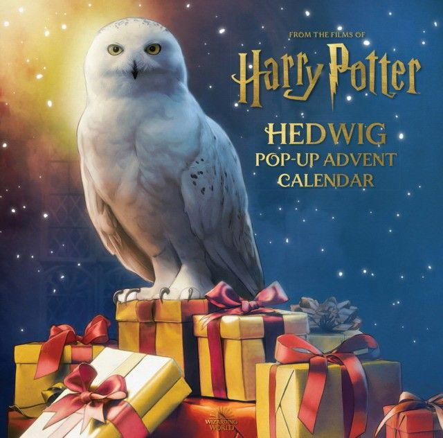 Harry potter: hedwig pop-up advent calendar | Reinhart Matthew #1