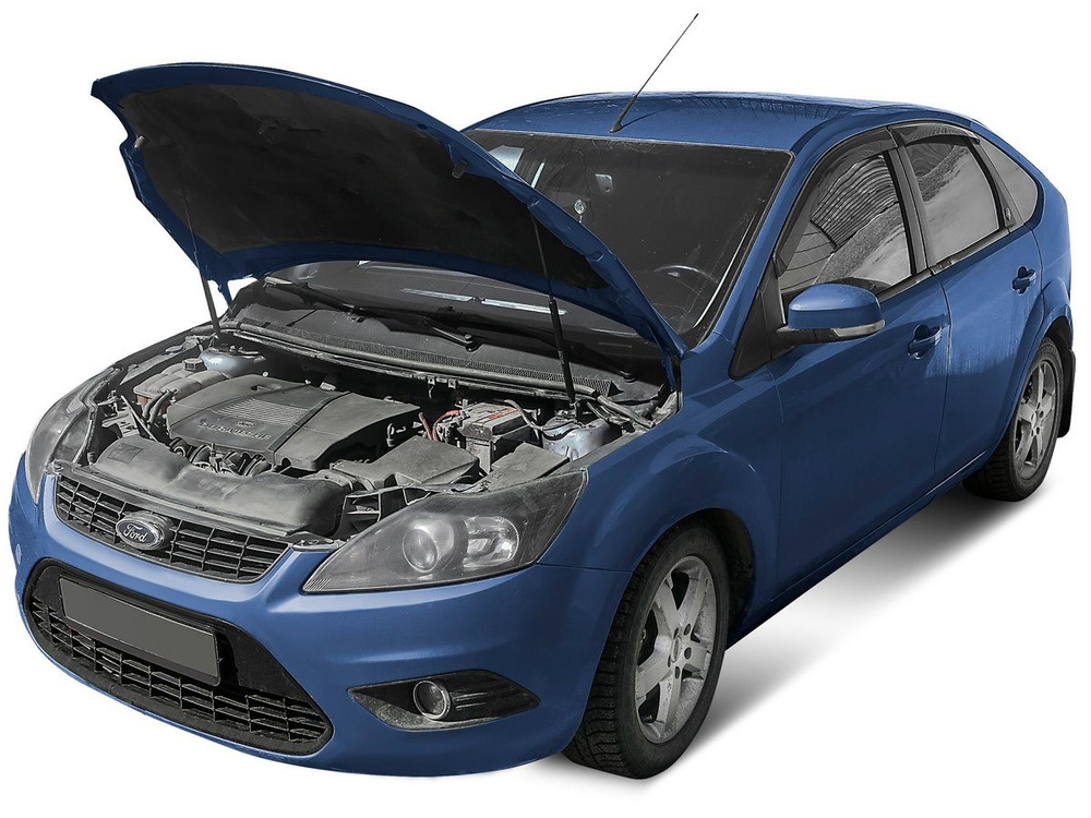 Газовые упоры капота АвтоУпор для Ford Focus II 2005-2011, 2 шт., UFDFOC013  #1