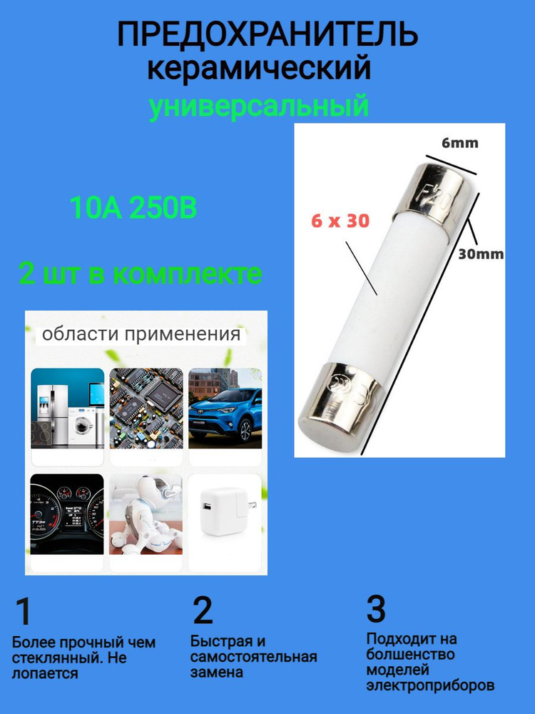 Предохранитель для СВЧ 10А 250В 2 шт #1