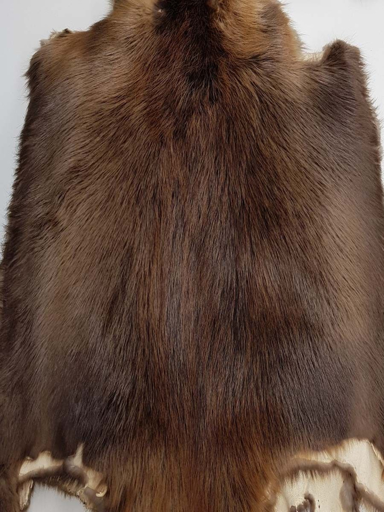 Fur Expert Шкура  #1