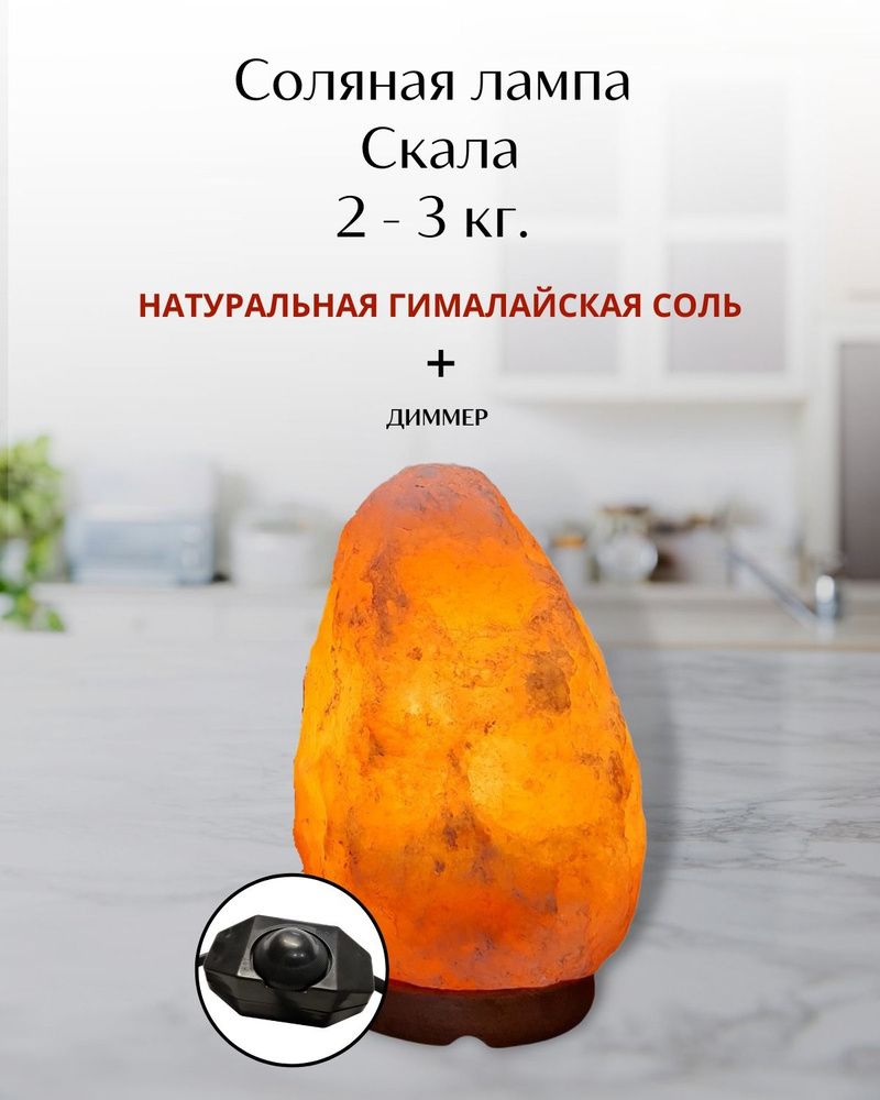 Лампа настольная Wonder Life Скала ZT_1 - купить по низкой цене в  интернет-магазине OZON (818881314)