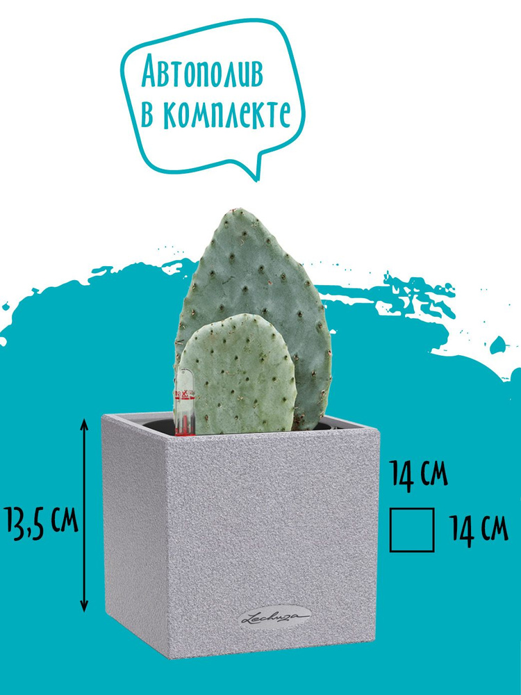 Кашпо для цветов суккулентов кактусов с автополивом пластиковое Lechuza CANTO Stone 14 горшок настольный #1