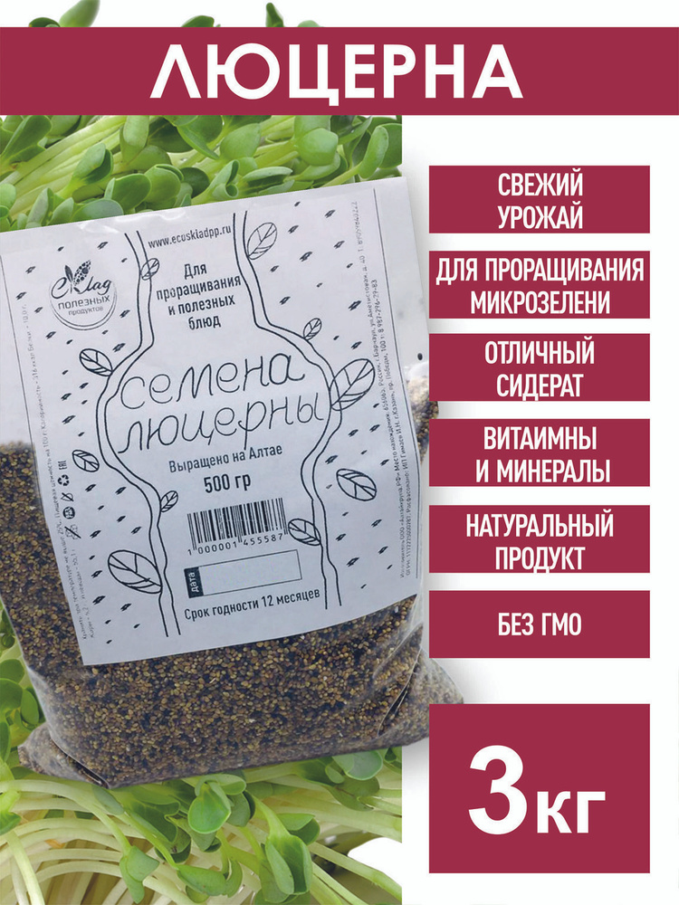 Люцерна семена для проращивания, 3 кг, сорт Вега 87, для микрозелени, проростки, сидерат для газона  #1