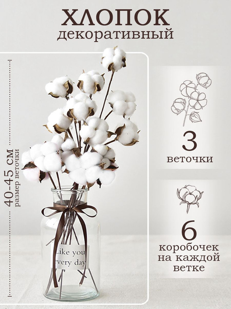 Handy Plants Букет из сухоцветов Хлопок, 45 см, 240 гр, 18 шт #1