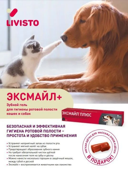 Зубная паста Livisto Эксмайл плюс Энзимная для кошек и собак, тюбик 50 г  #1
