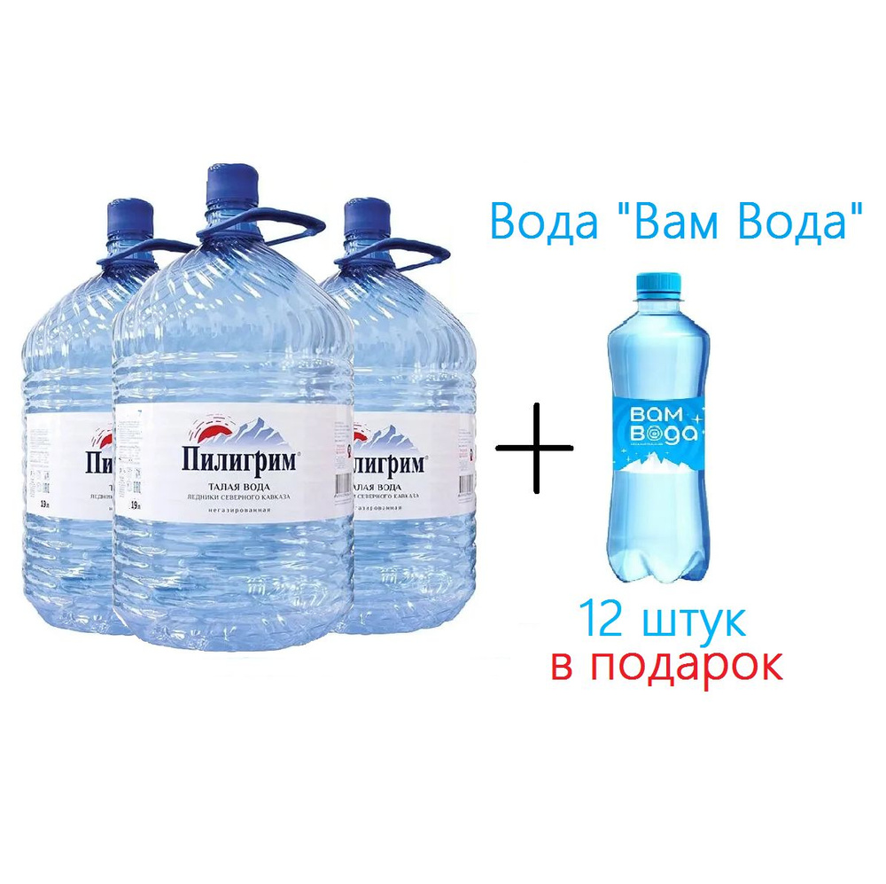 Вода ледниковая Пилигрим, 19 литров (разовая бутыль), 3 шт + "Вам Вода" 12 шт х 0,5, б/г  #1