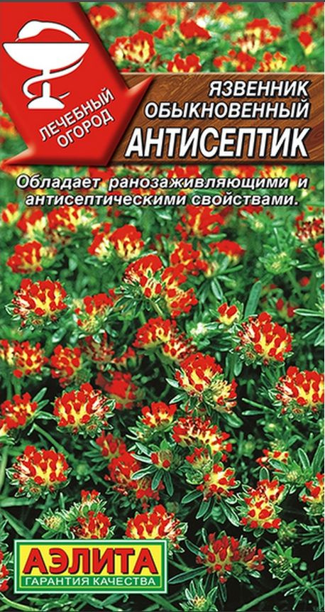 Язвенник Антисептик, 1 пакетик 0,2 гр. семян, Аэлита #1