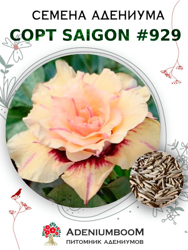 Семена Адениума Обесум от Saigon Adenium #929 (4шт.) / семена цветов комнатных суккулентов, набор семян #1