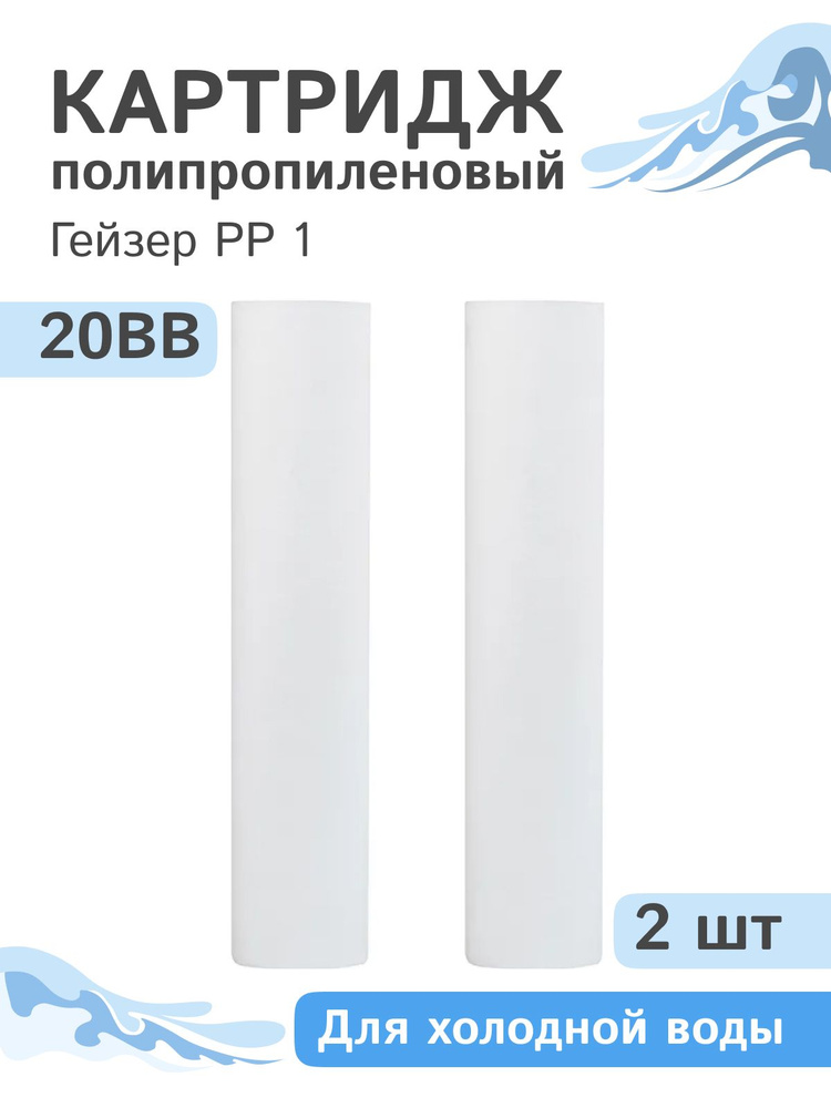 Полипропиленовые картриджи механической очистки Гейзер PP 1 - 20BB, 28074 - 2 шт.  #1