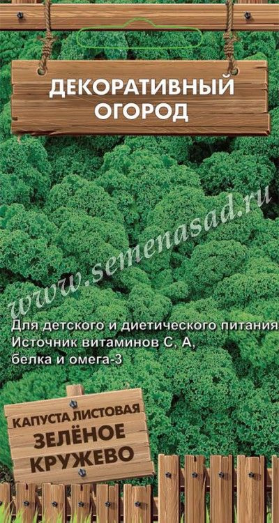 Капуста листовая Зеленое кружево 0,1гр. (Поиск) #1