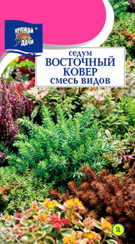 Седум (Очиток) ВОСТОЧНЫЙ КОВЁР Смесьдля альпинария и рокария (Семена УРОЖАЙ УДАЧИ, 0,015 г семян в упаковке) #1