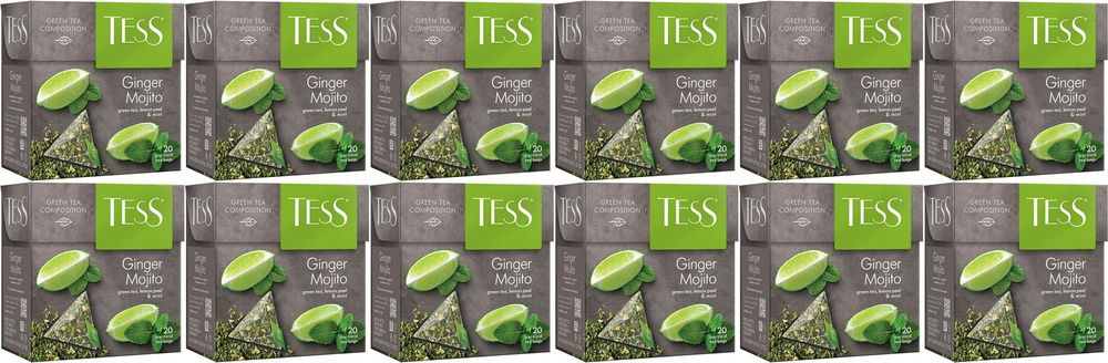 Чай зеленый Tess Ginger Mojito в пирамидках 1,8 г 20 шт, комплект: 12 упаковок по 36 г  #1
