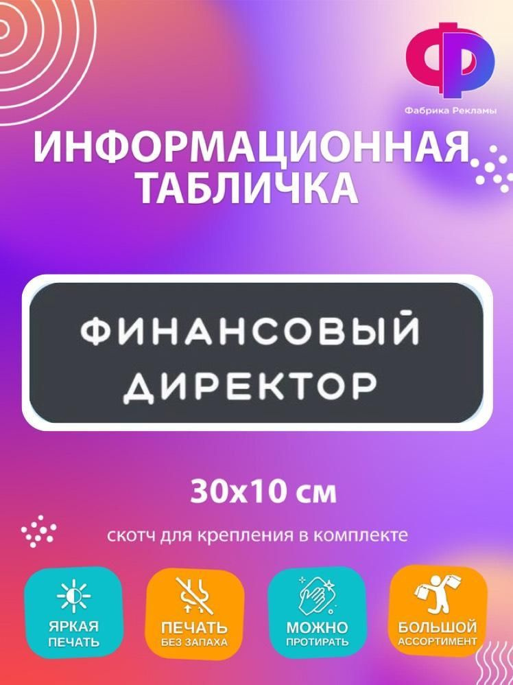 Табличка информационная "Финансовый директор" 30*10 см на дверь  #1