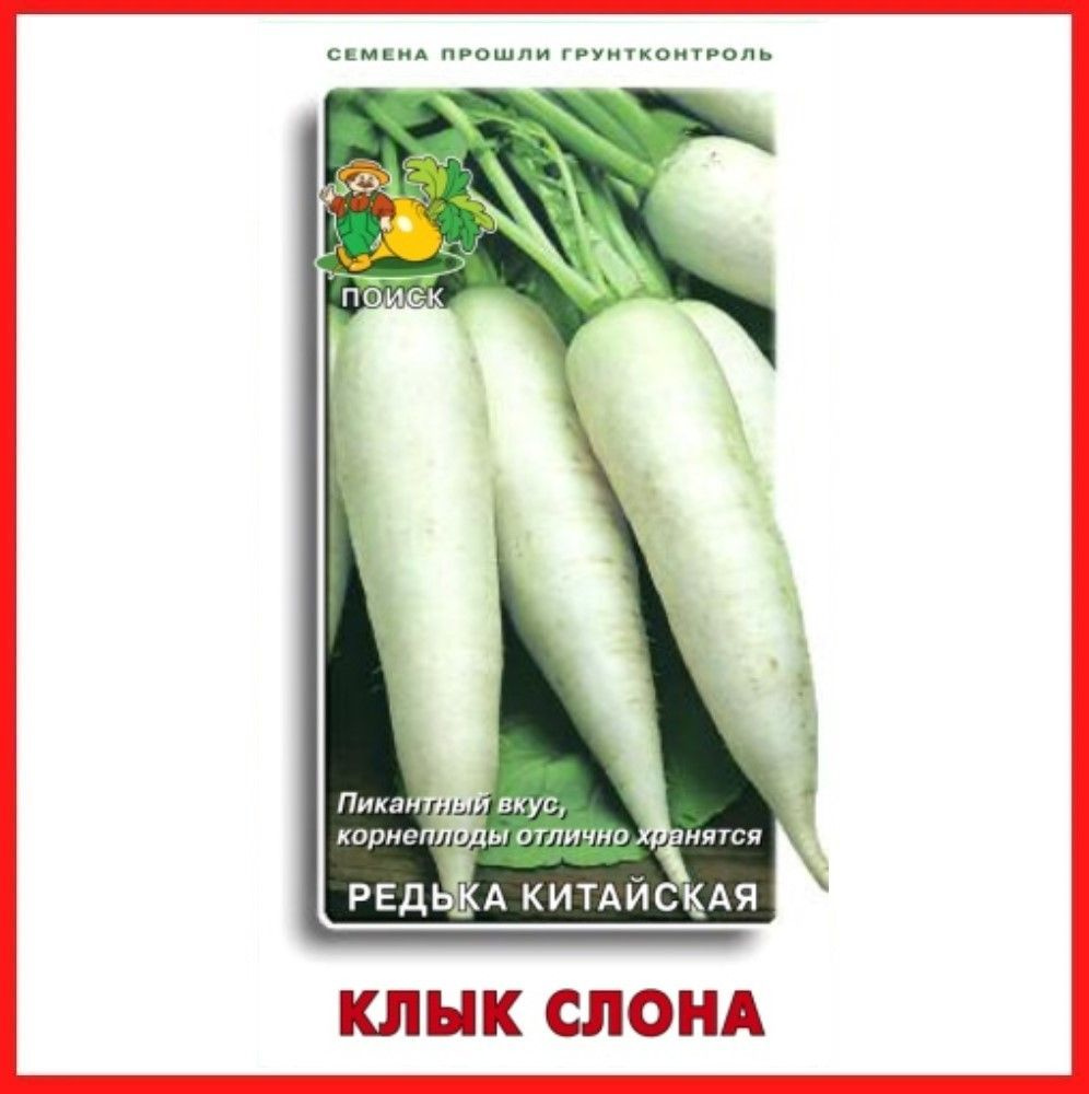 Семена Редька китайская "Клык слона", 2 гр, для дома, дачи и огорода, в открытый грунт, редька из семян. #1