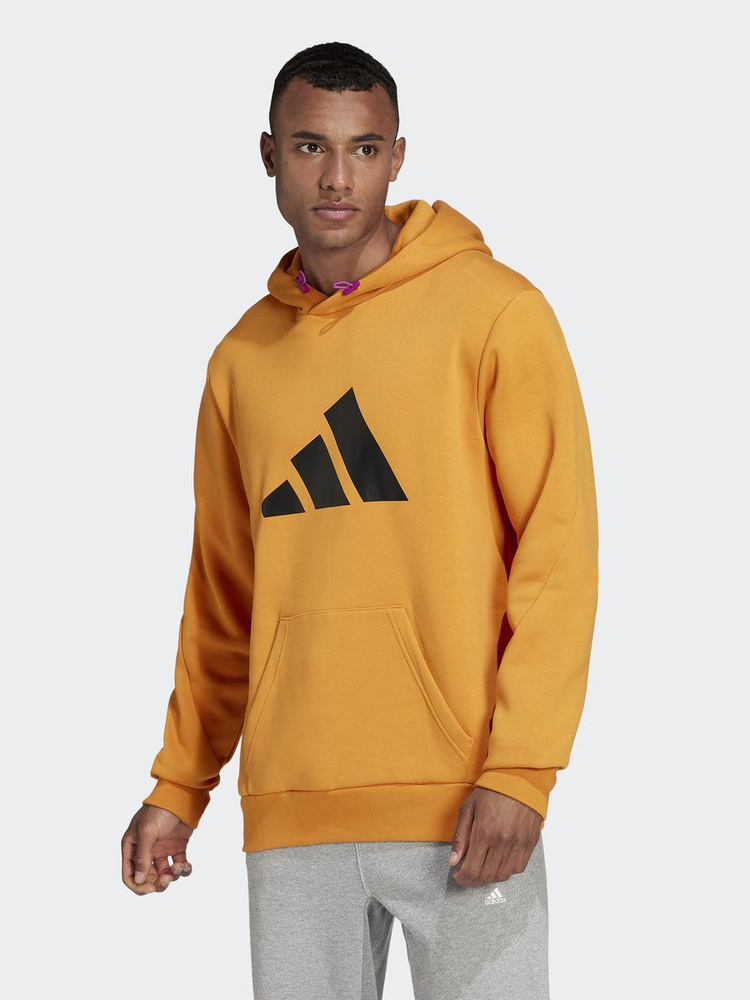 Толстовка adidas Sportswear M Fi Wtr Hoodie #1