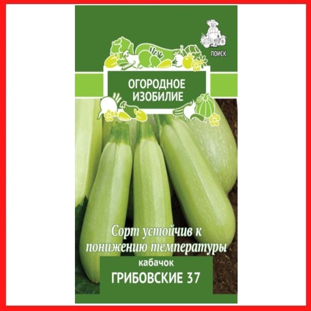 Семена Кабачок "Грибовские 37", 2 гр, для дома, дачи и огорода, в контейнер, в грунт, на рассаду, на #1