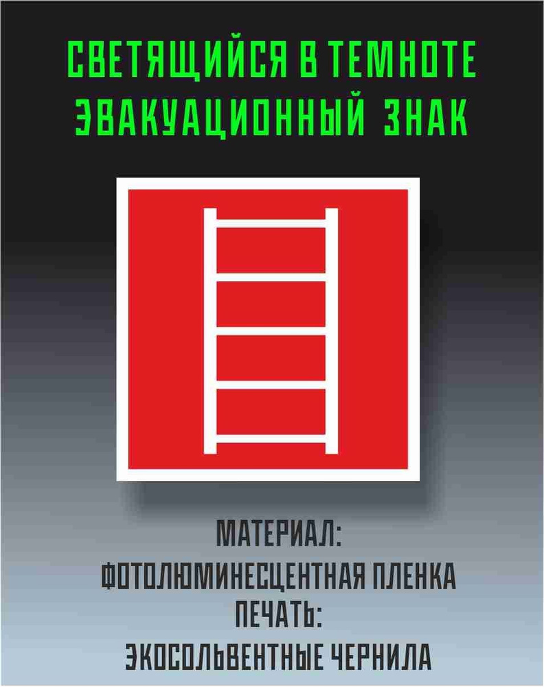 Знак пожарной безопасности F03 Пожарная лестница 150 х 150 мм  #1