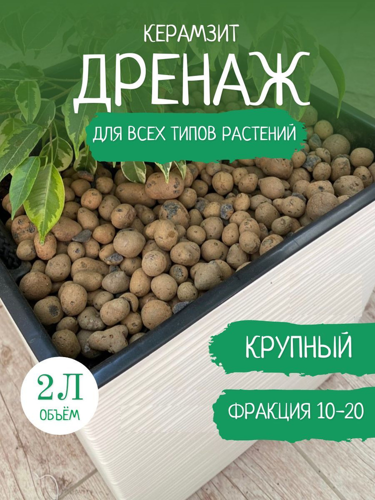 Секреты правильной подложки: как использовать дренаж для цветов и комнатных растений?