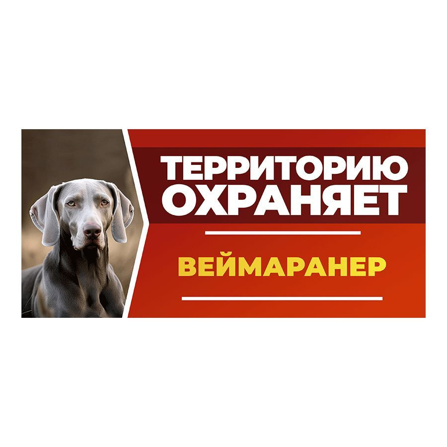 Табличка, DANGER DOG, Веймаранер, на забор, 30см х 14см #1